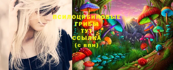марки nbome Новокубанск